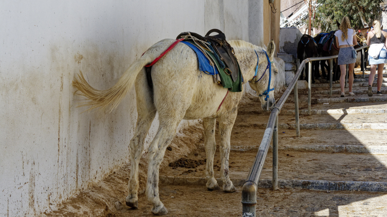 20221031 124051•Ormos Firon•Santorini•Greece
